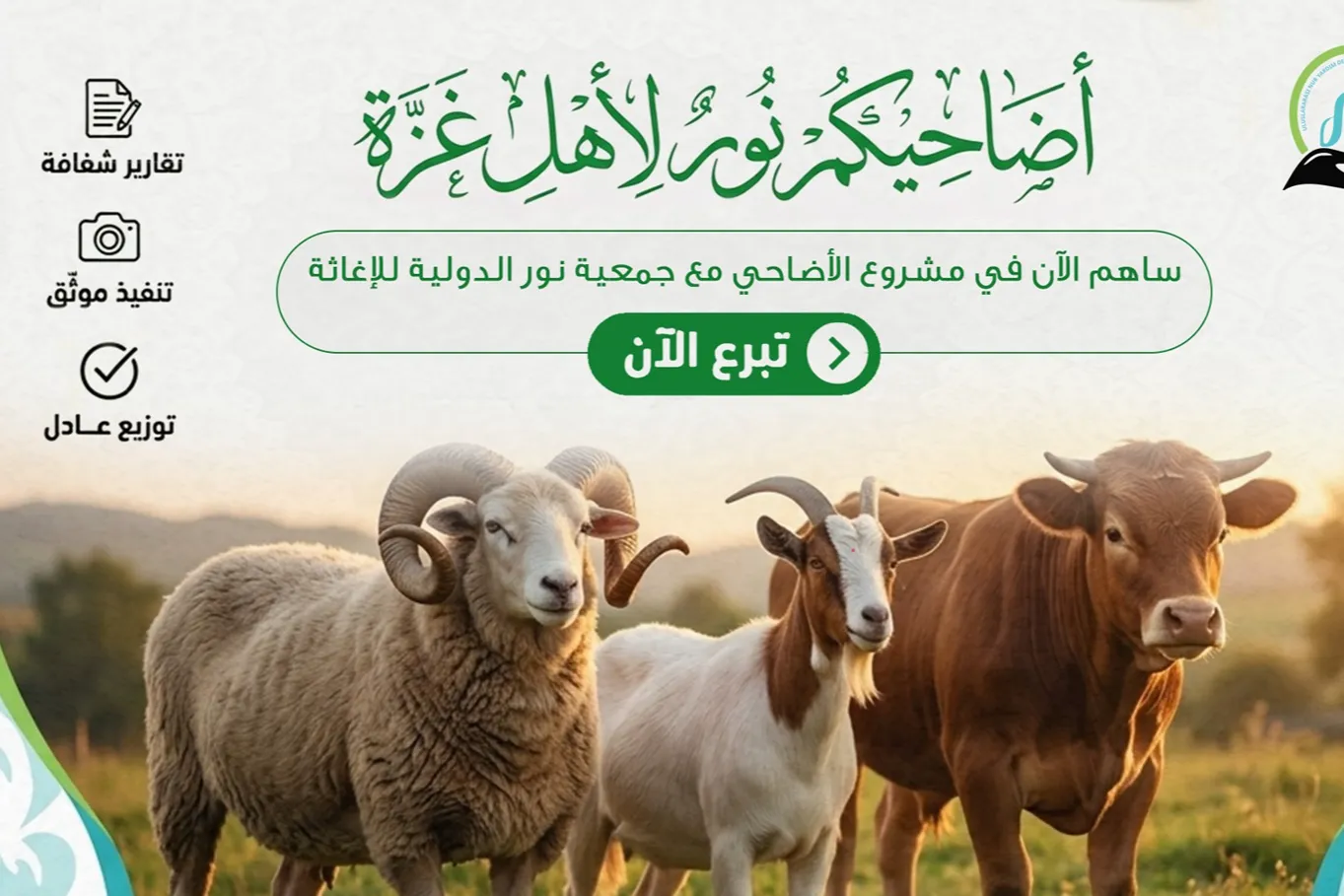 أضحيتك هذا العام تصل إلى غزة 🇵🇸